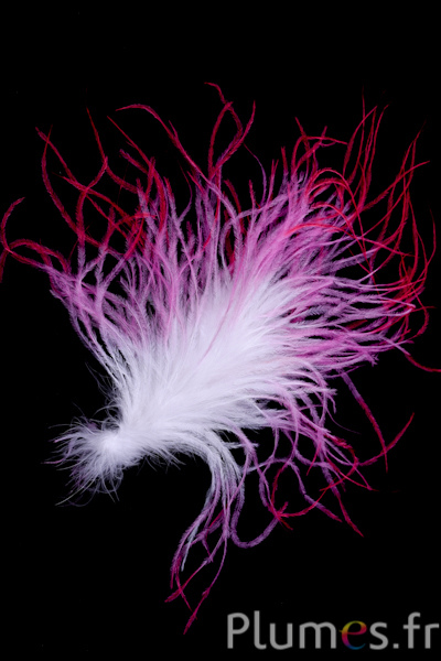 Autruche mèche  - 10 cm - blanc-rose ancien-crabe
